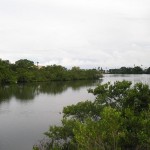 Bayou Off Old Clearwater Bay