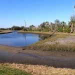Skyway Trail Extension - Clam Bayou Low Tide