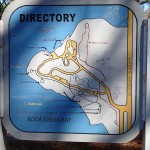 Maximo Park - Directory