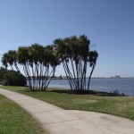 Clearwater - Edgewater Park
