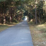 Nature Coast State Trail - Tunnel of Trees