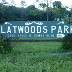 Flatwords Park Trail Sign Bruce B Downs Park Sign