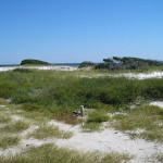 Gulf Islands National Seashore - Looking north over Pensacola Bay