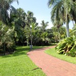 Gizella Kopsick Palm Arboretum
