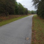 Withlacoochee State Trail - Mile Marker 2 Looking South