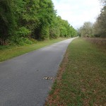 Withlacoochee State Trail - Mile Marker 38 Looking North