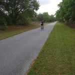 Withlacoochee State Trail - Ciclist Heading North