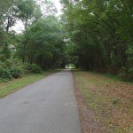 Withlacoochee State Trail - Tunnel of Trees