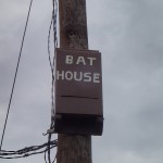 Withlacoochee State Trail - Bat House