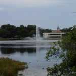 Withlacoochee State Trail - Water Fountain