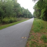 Withlacoochee State Trail - Mile Marker 24 Looking South