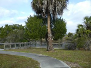 Withlacoochee Bay Trail - Trailside Shelter