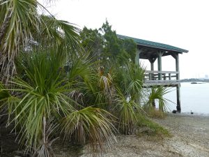 Withlacoochee Bay Trail - Southern Terminus