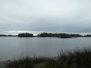 Withlacoochee Bay Trail -Oyster Bay Estuary
