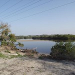 View of the North Anclote River