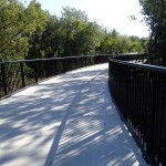 Skyway Trail Extension - Winding Trail