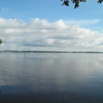 Philippe Park - View of Old Tampa Bay