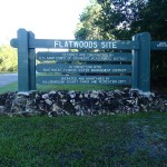 Flatwoods Park Trail Morris Bridge Road Sign
