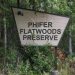 Phifer Flatwoods State Preserve
