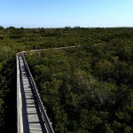 North Bay Trail - Weedon Island Boardwalk