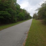 Withlacoochee State Trail - Mile Marker 44 Looking North
