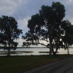Withlacoochee State Trail - Sunrise Trees